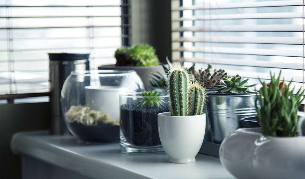 Feng Shui: Descubra as melhores dicas para aplicar esta arte à sua decoração!